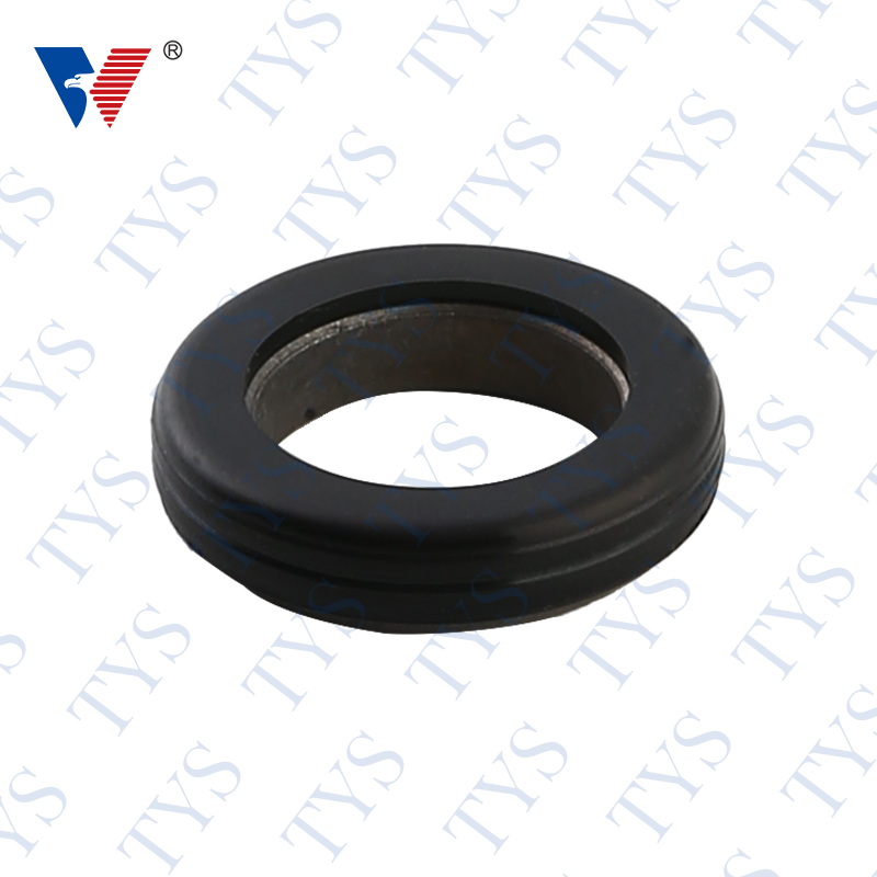 TYS 1006 Mechanical seal John crane type 2100K sentinam hastile sigillum