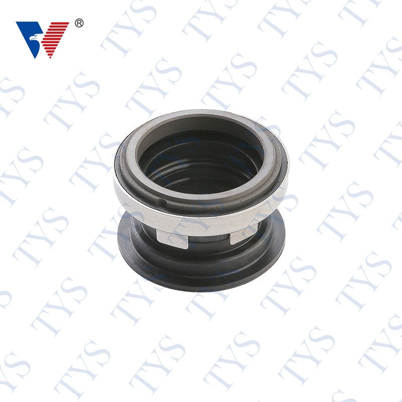 TYS 1006 Mechanical seal John crane type 2100K sentinam hastile sigillum